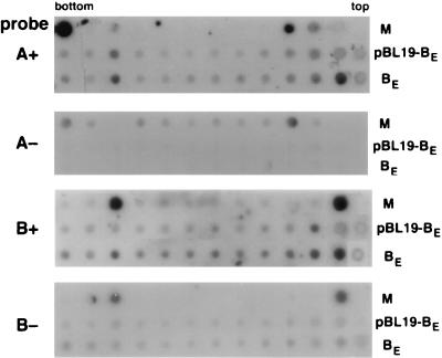 FIG. 8