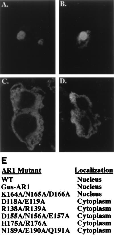 FIG. 6