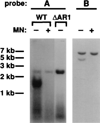 FIG. 7