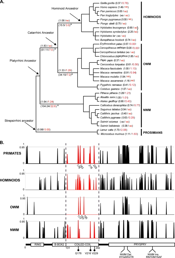 FIG. 7.