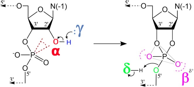 FIGURE 1.