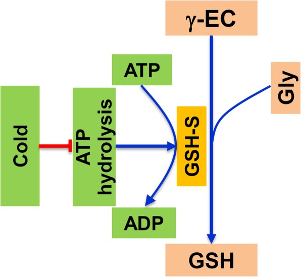 Fig. 7