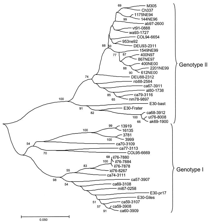 FIG. 1.