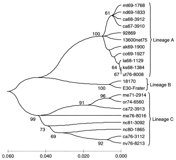 FIG. 5.