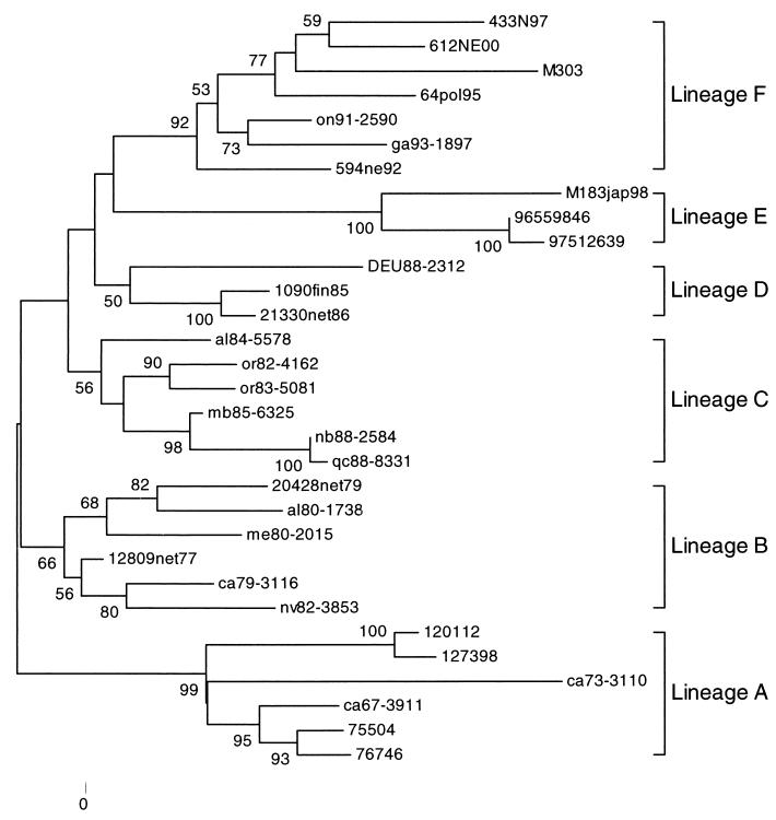 FIG. 6.