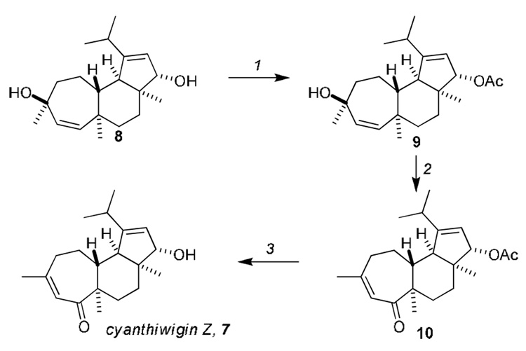 Scheme 2