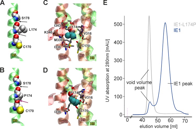 FIG 4