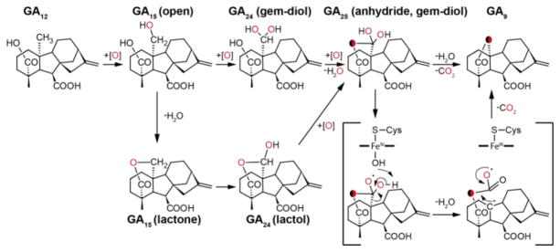 Scheme 2