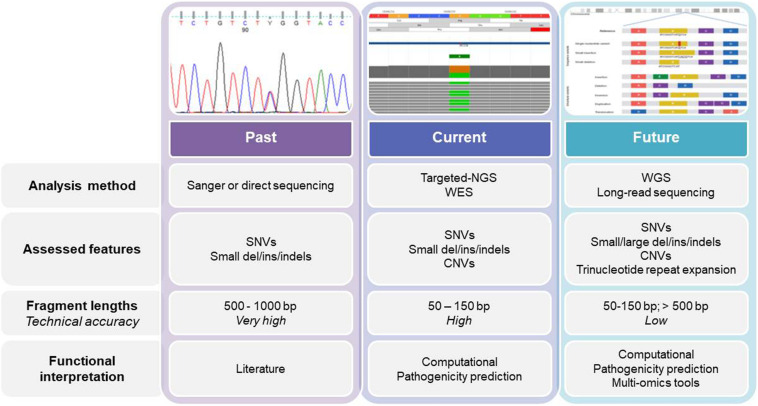 FIGURE 1