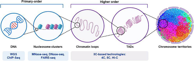 FIGURE 2