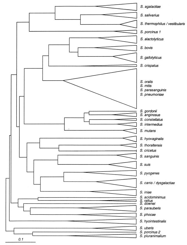 FIG. 1