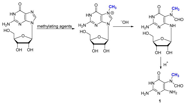 Scheme 2