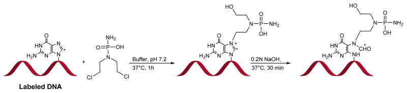 Scheme 16