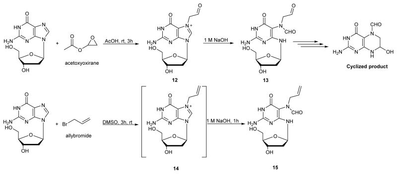 Scheme 6