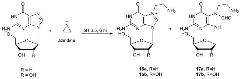 Scheme 7