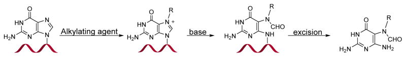 Scheme 13