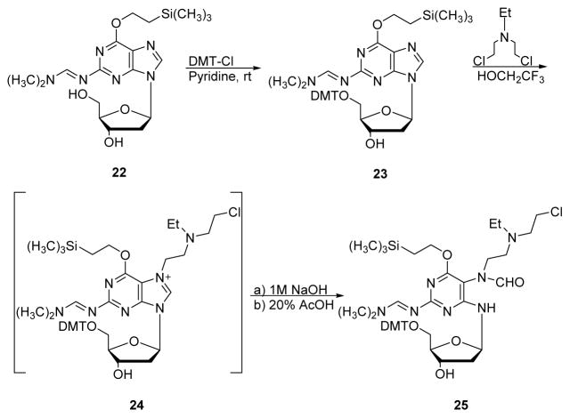 Scheme 8