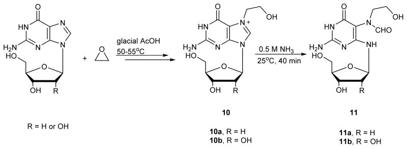 Scheme 5