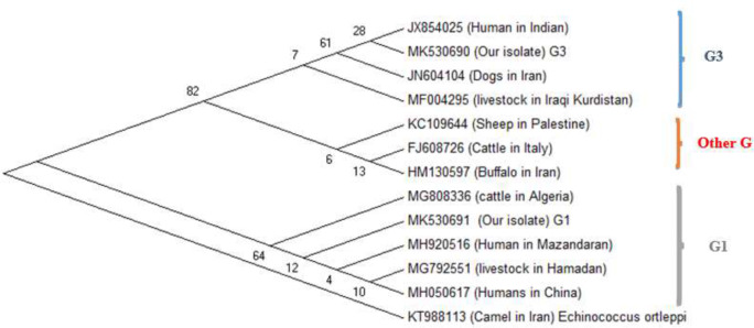 Fig. 3: