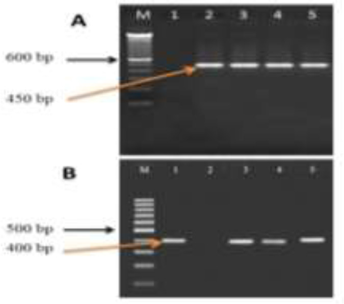 Fig. 2: