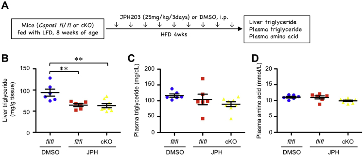 Figure 6