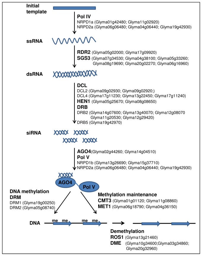 Figure 14