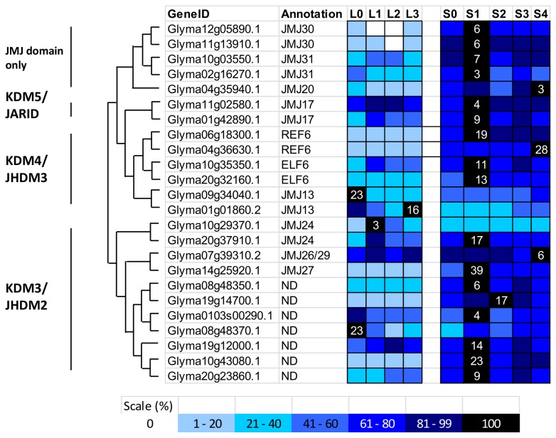 Figure 12