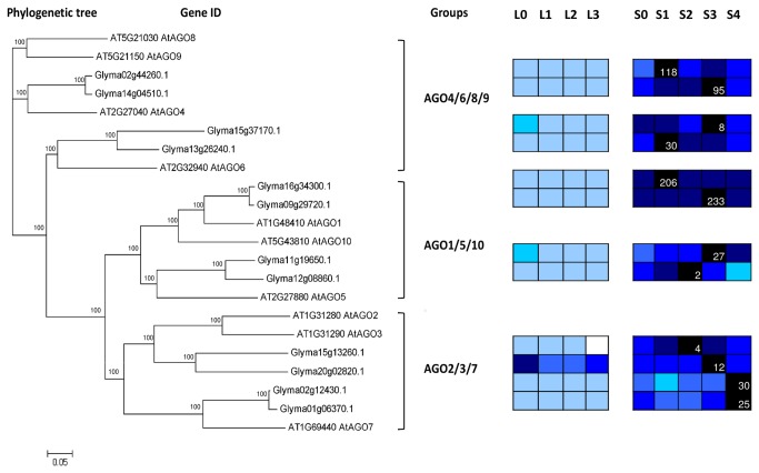 Figure 16