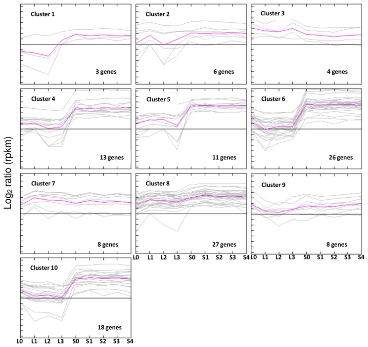 Figure 13