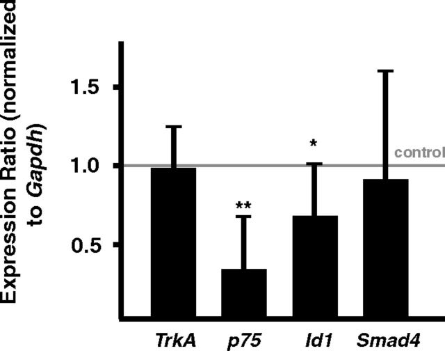 Figure 9.