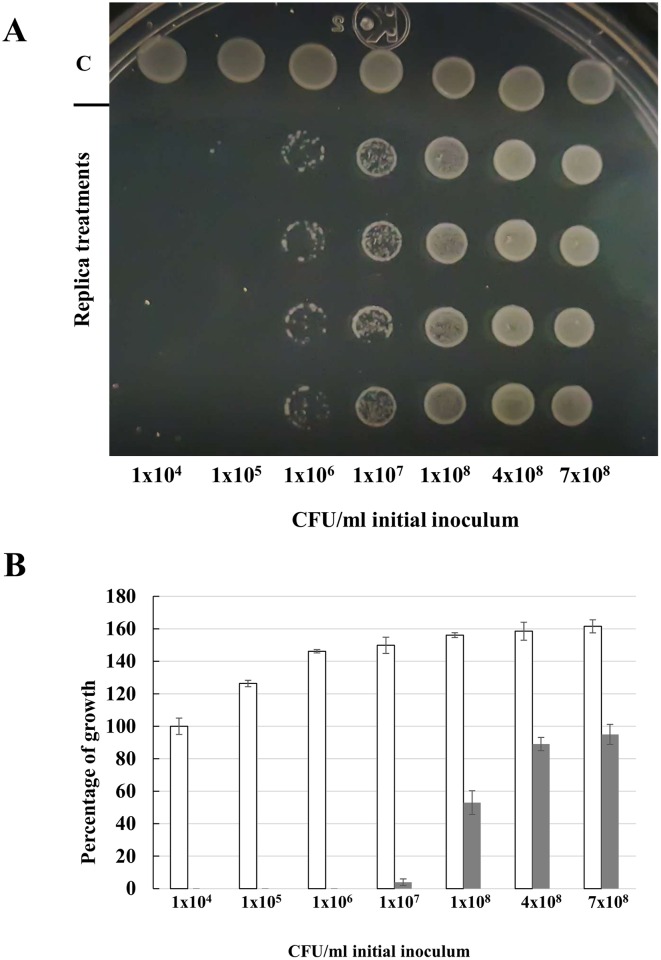 Fig 5