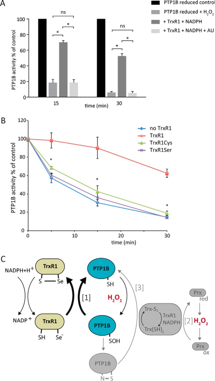 Figure 6.