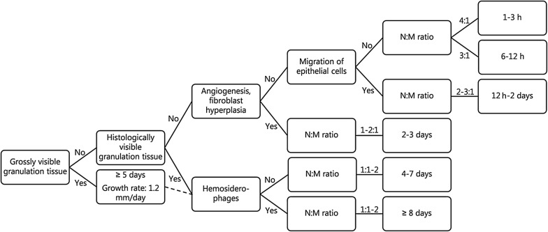 Fig. 6