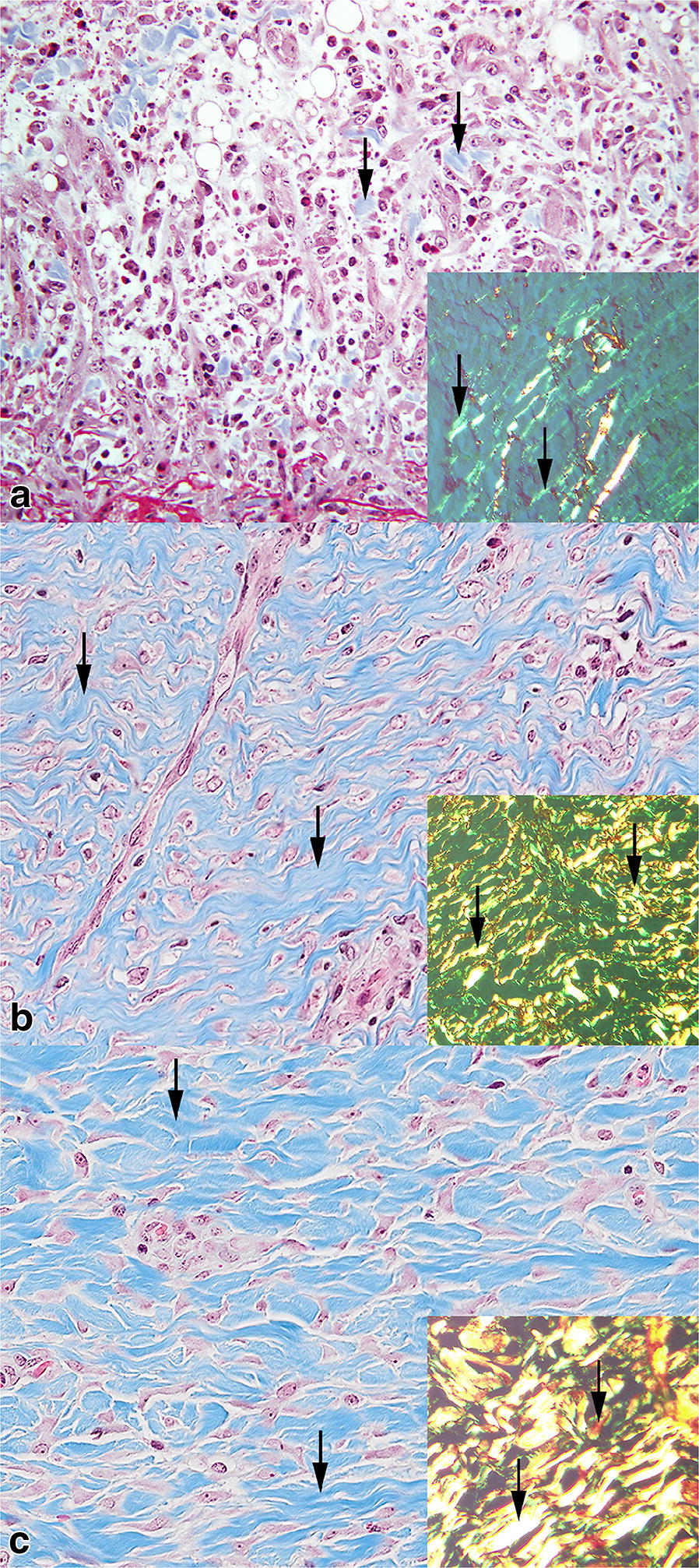 Fig. 5