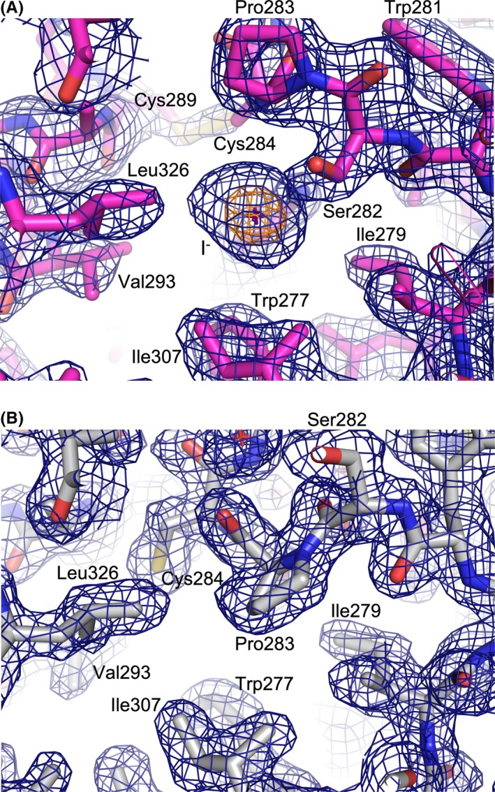 Figure 5