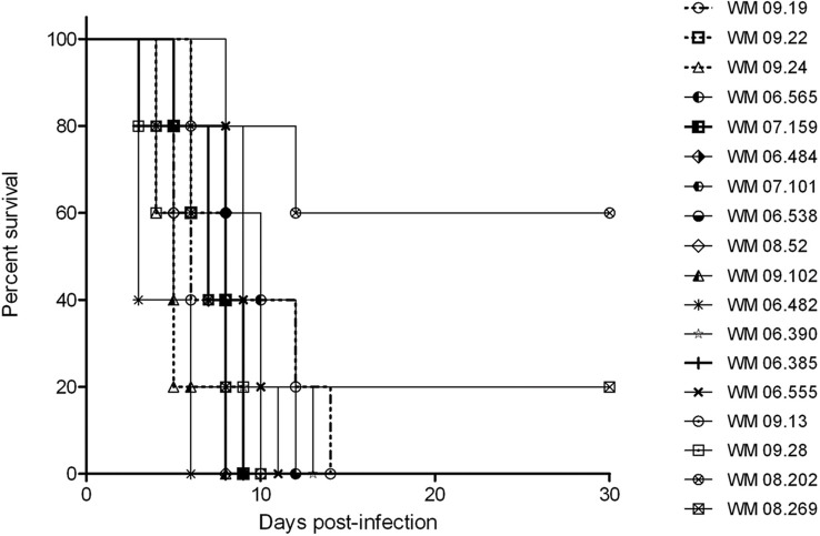 Figure 4