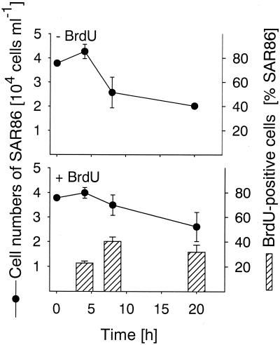 FIG. 5.