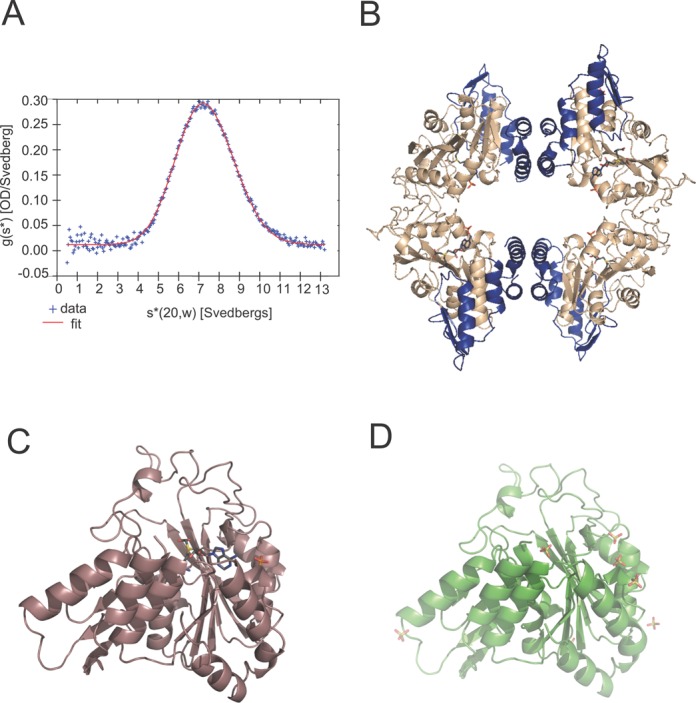 Figure 2.