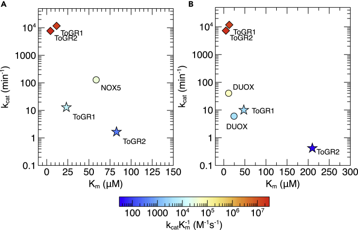 Figure 3