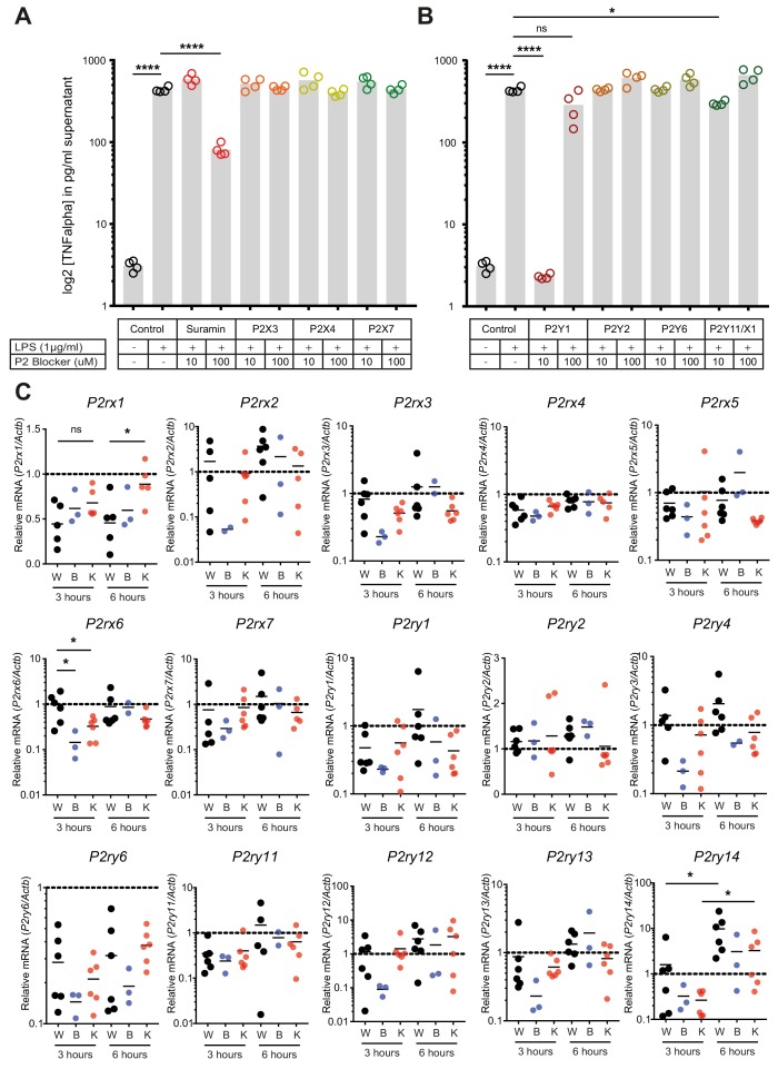 Figure 4—figure supplement 2.