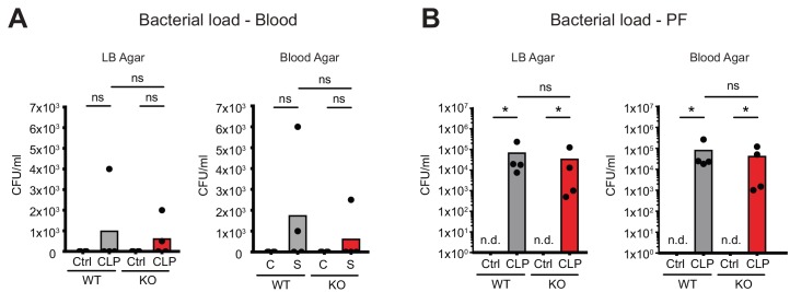 Figure 5—figure supplement 1.