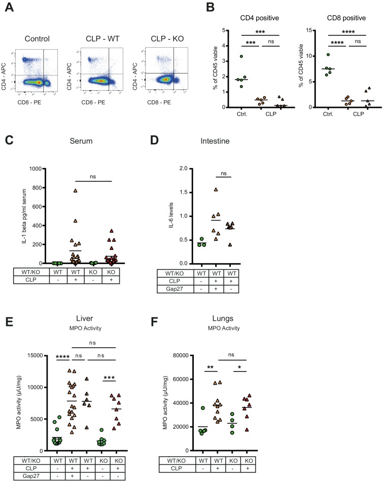 Figure 5—figure supplement 3.