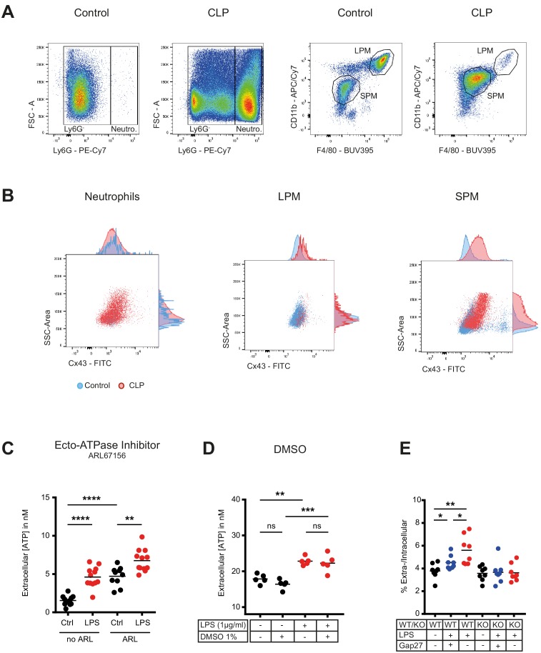 Figure 1—figure supplement 1.