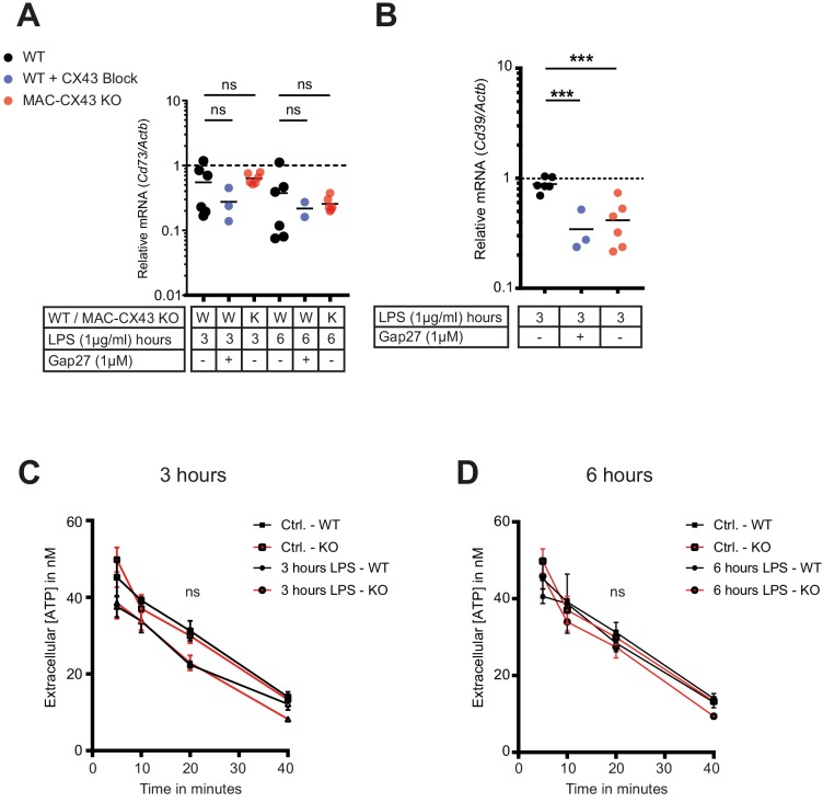 Figure 4—figure supplement 3.