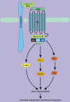 Fig. 3