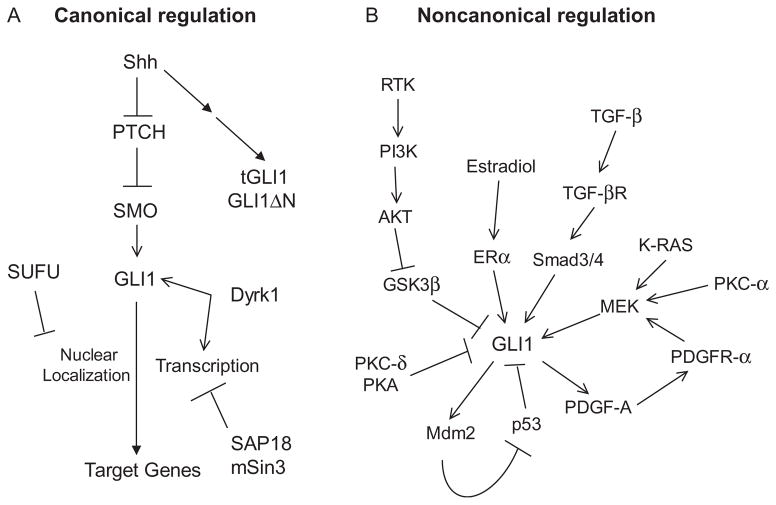 Figure 6.2