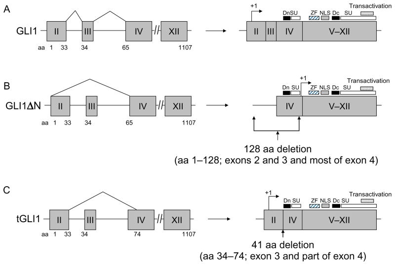 Figure 6.1