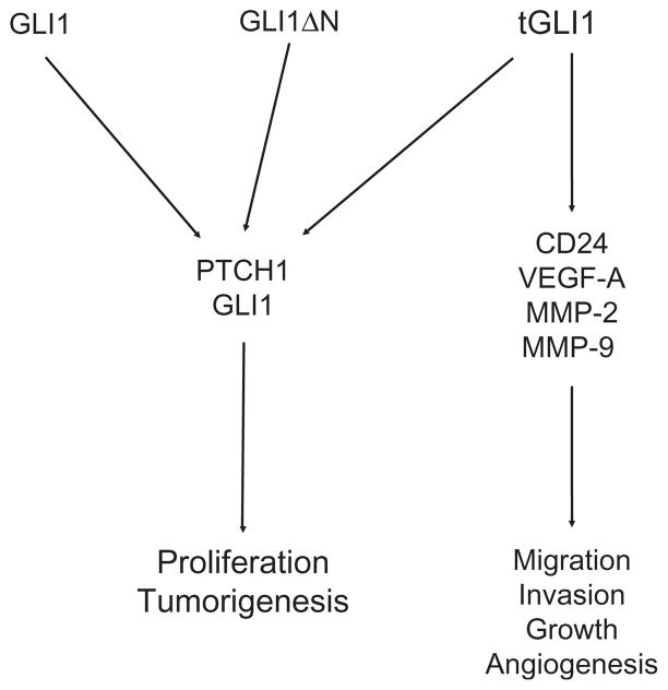 Figure 6.3