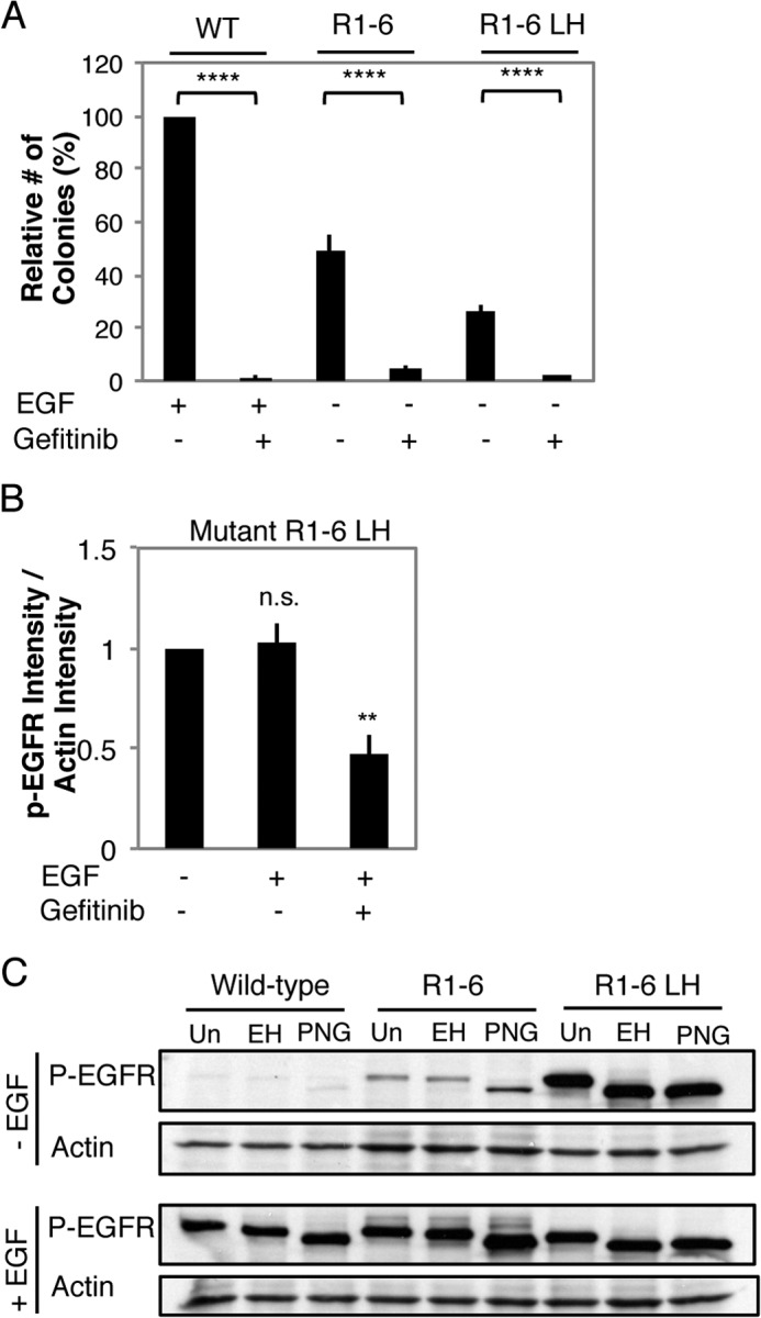 FIGURE 9.