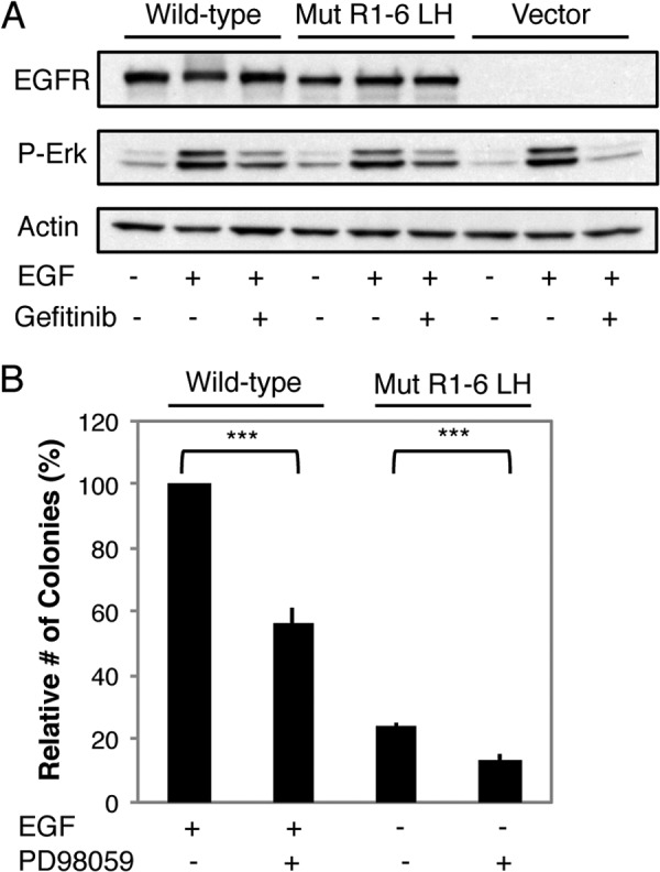 FIGURE 11.